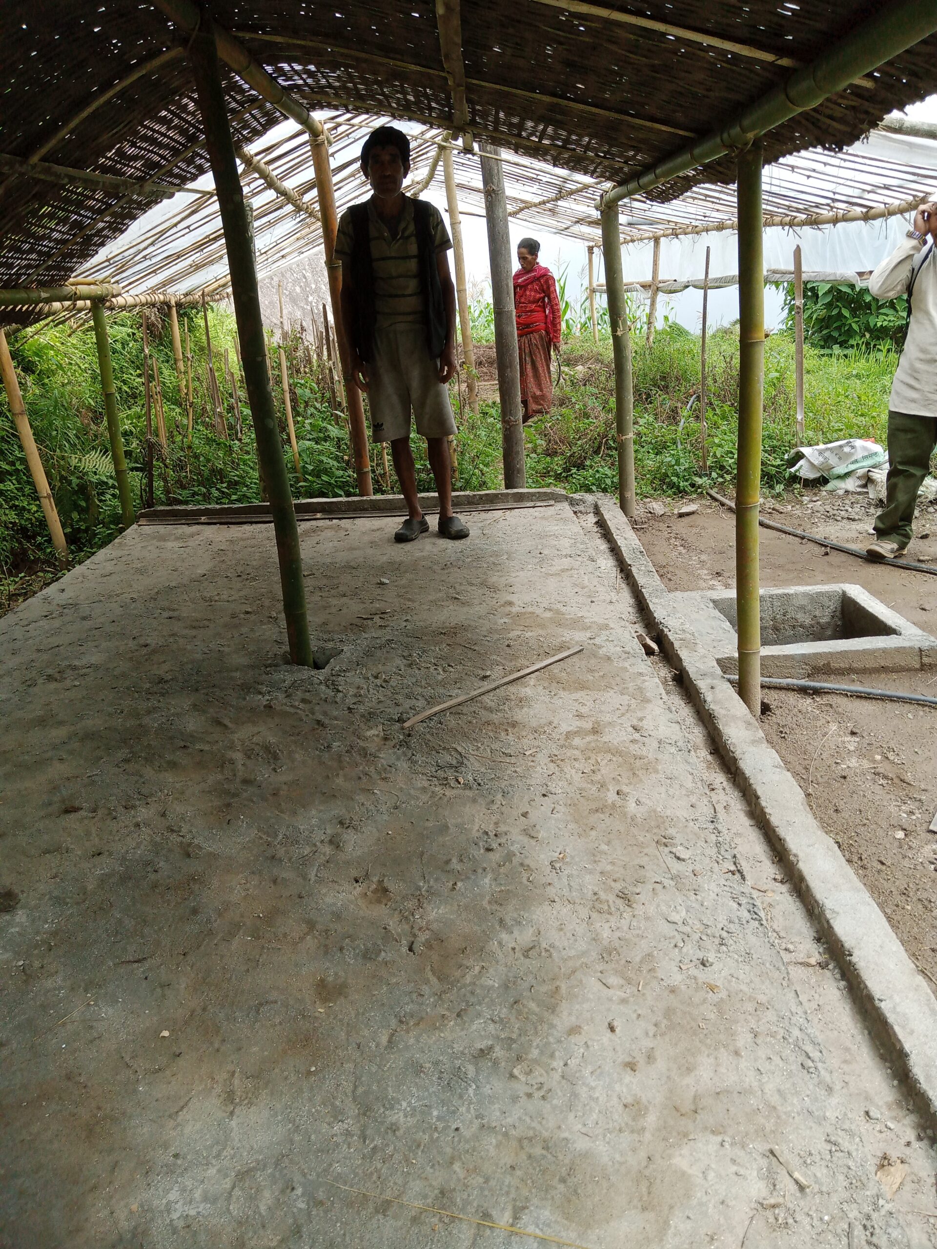 Livestock shed improvement