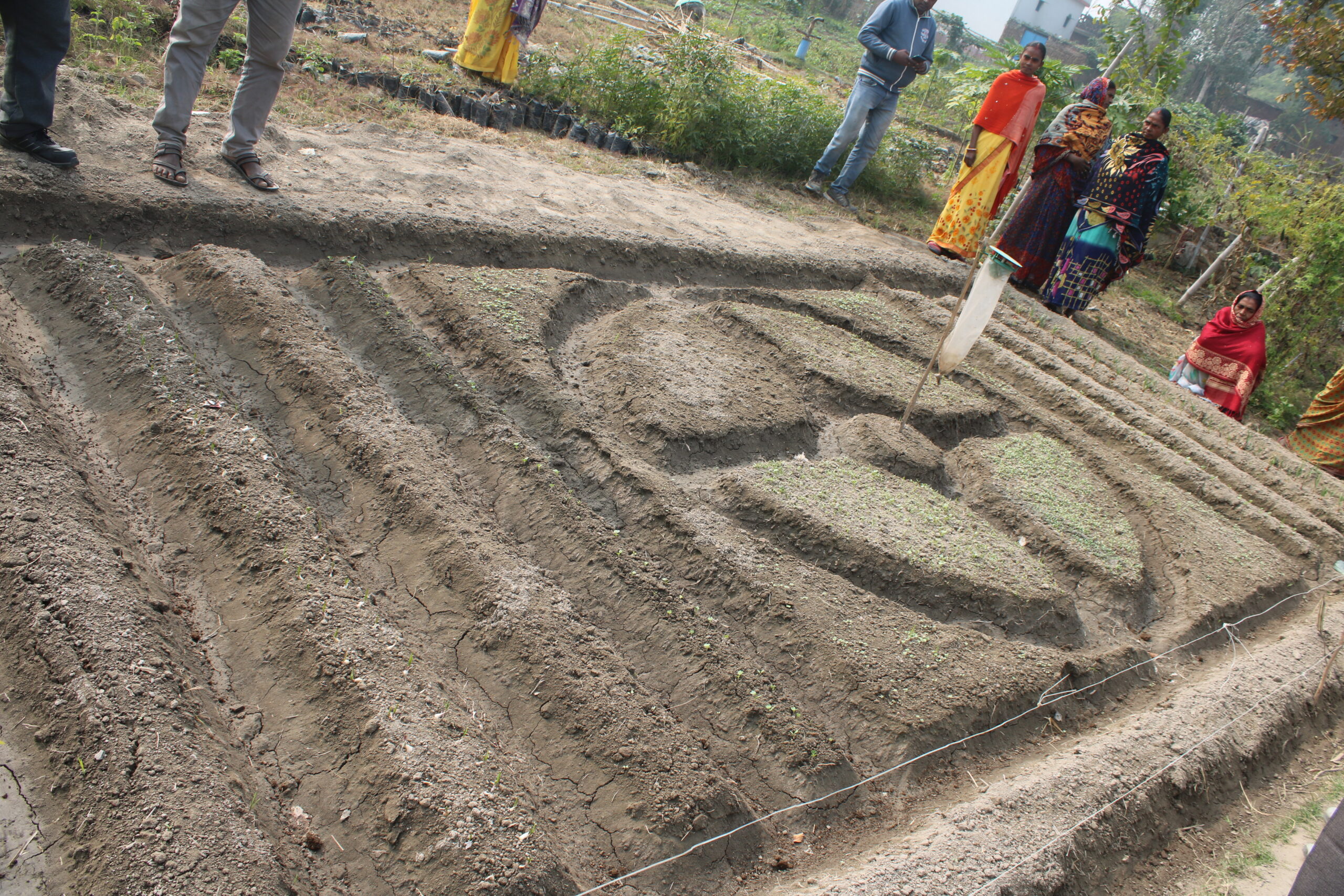 Model kitchen garden training