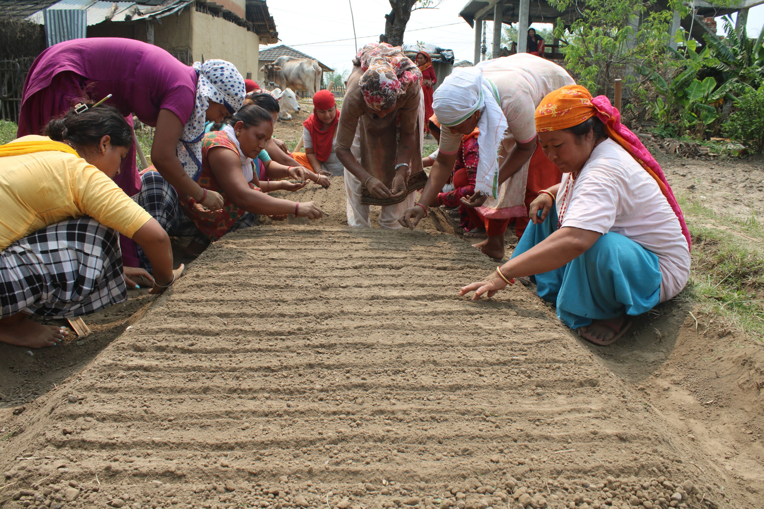 Nursery raising training