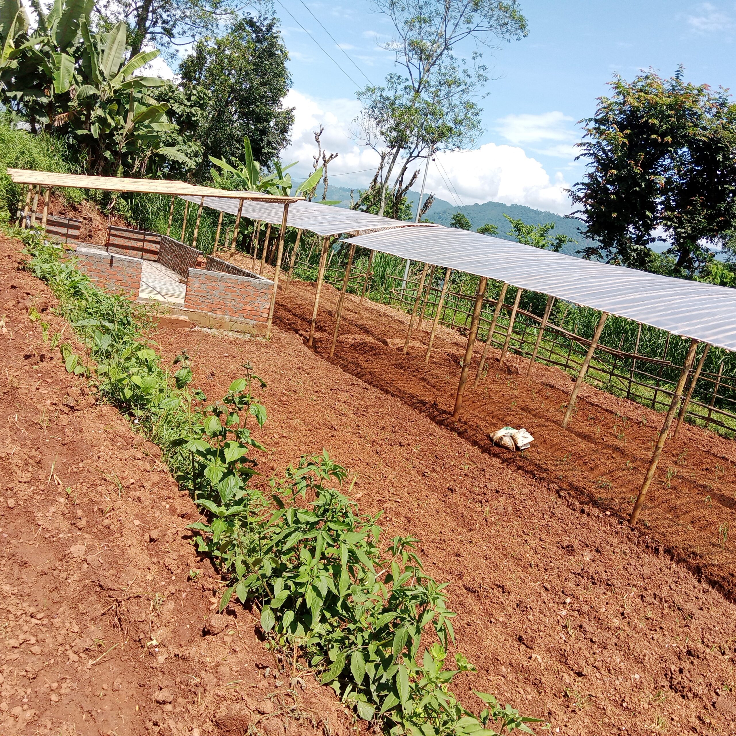 commercial veg farm field preparation