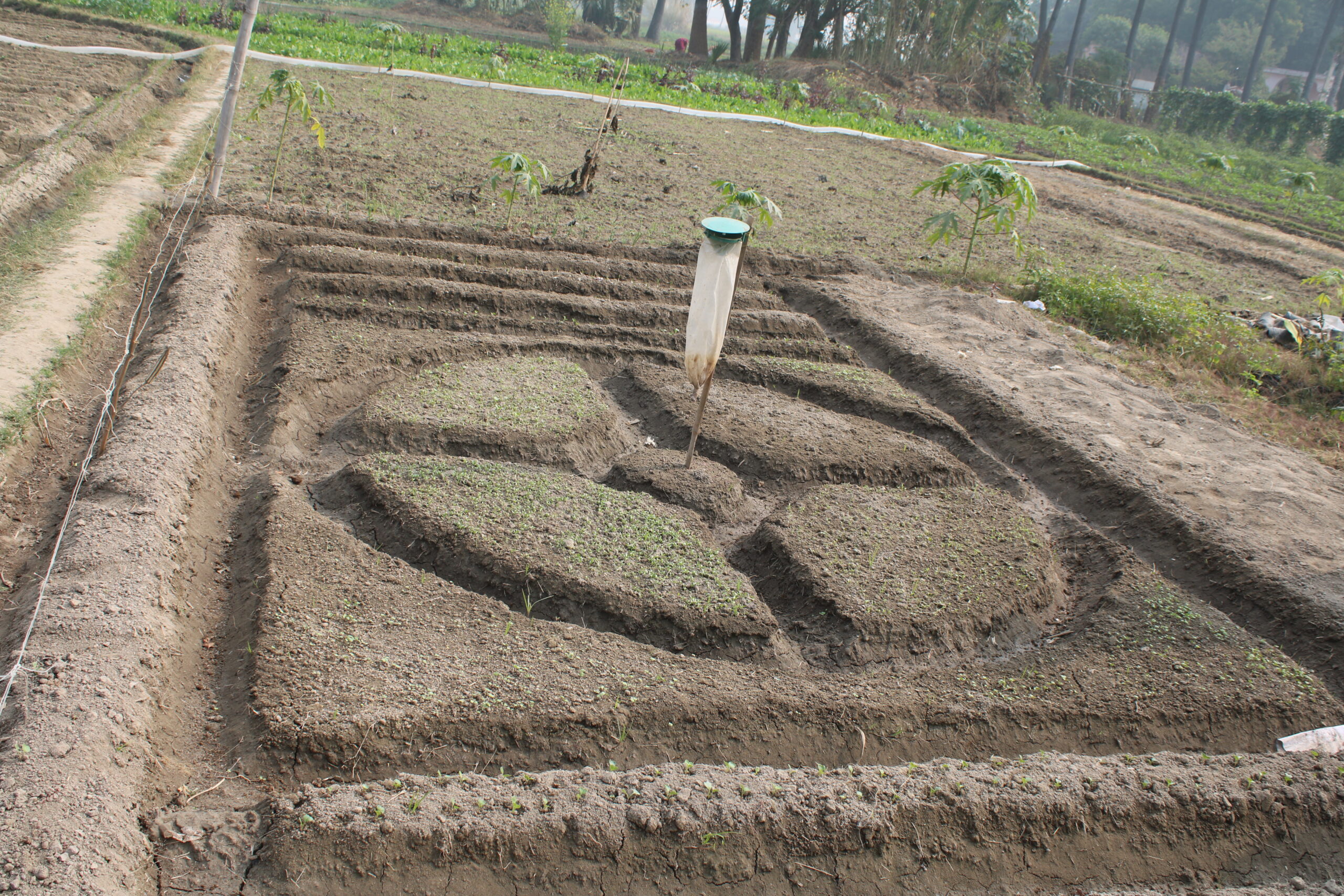 model kitchen garden