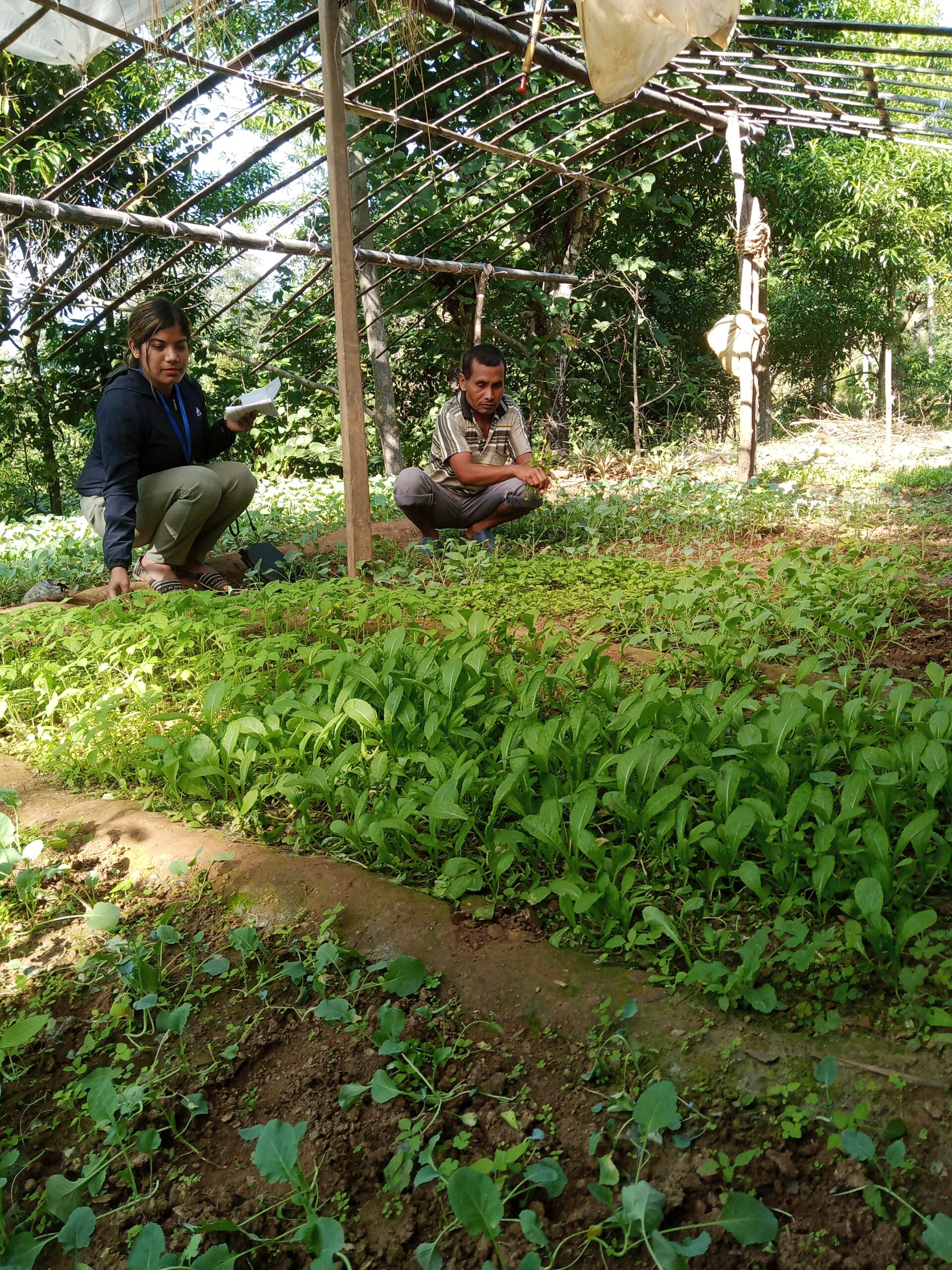 nursery inspection